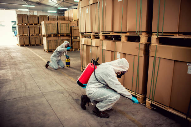 Best Wasp Removal Services  in Champlin, MN