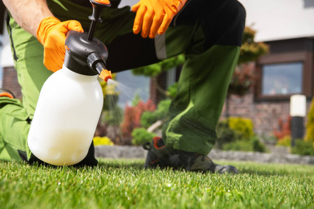 Best Commercial Pest Control Services  in Champlin, MN