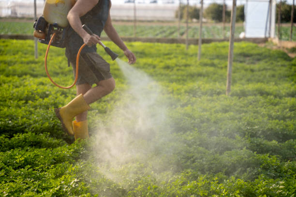 Pest Prevention Services in Champlin, MN