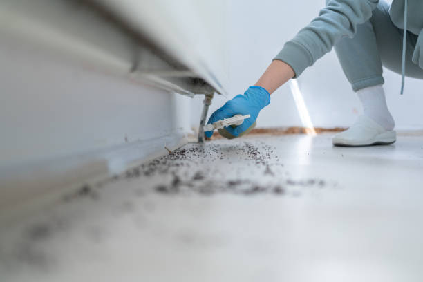 Champlin, MN Pest Control Company